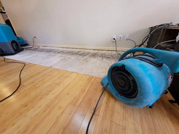 Professional Burst Pipe Water Damage technician working in Guild, TN